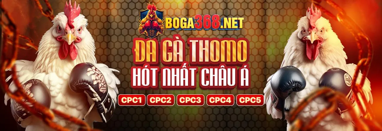 Đá Gà Trực Tuyến Hấp Dẫn tại 79king link